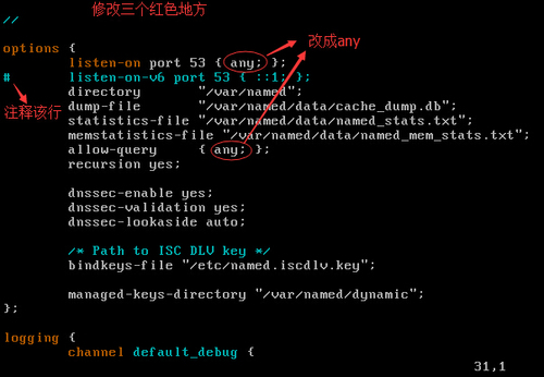 linux命令:DNS域名解析,bind