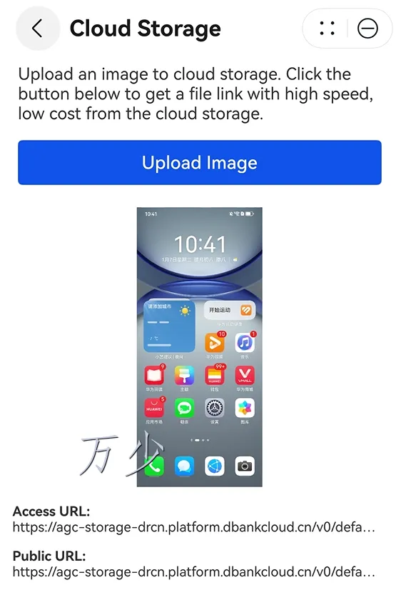 image-20250116095730657