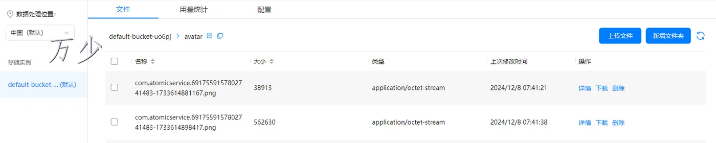 image-20250116100749650