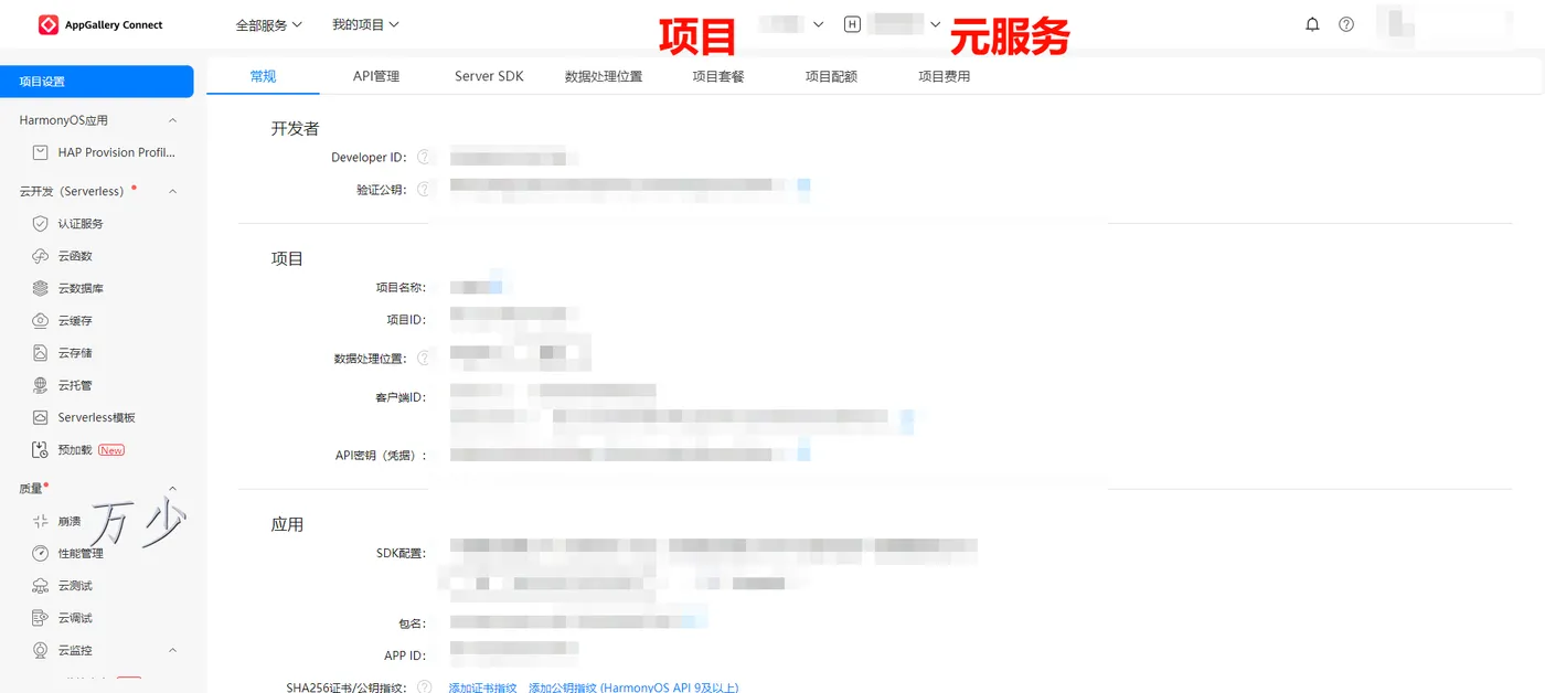 image-20250116100212297