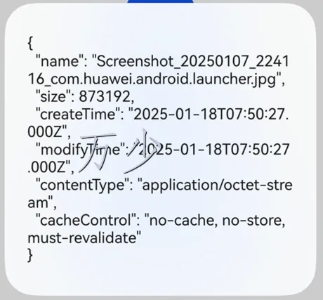 image-20250119001021913