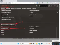 Win11虚拟机安装Oracle 19c（保姆教程）