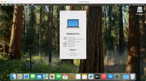 macOS Sequoia 15.3.2 (24D81) Boot ISO 原版可引导镜像下载