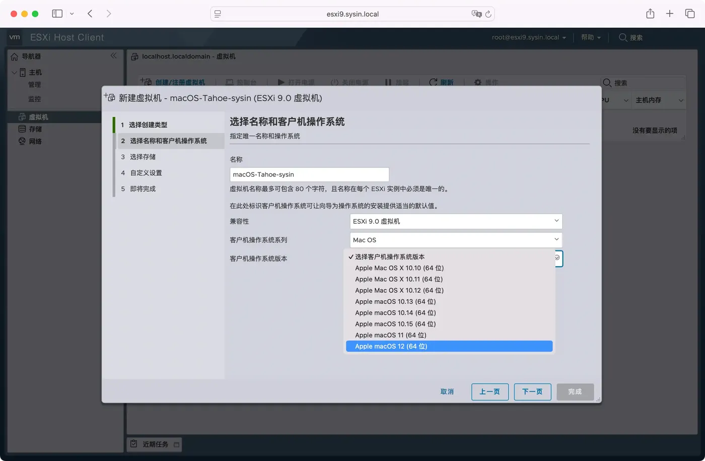 New VM in ESXi 9