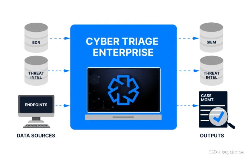 Cyber Triage Enterprise 架构