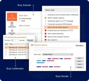 Burp Suite Professional 2025.12.5 发布 - Web 应用安全、测试和扫描