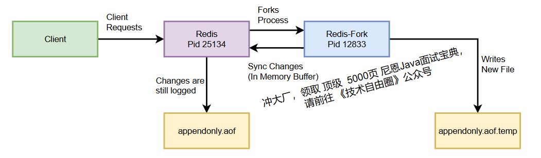 image-20250730092803263