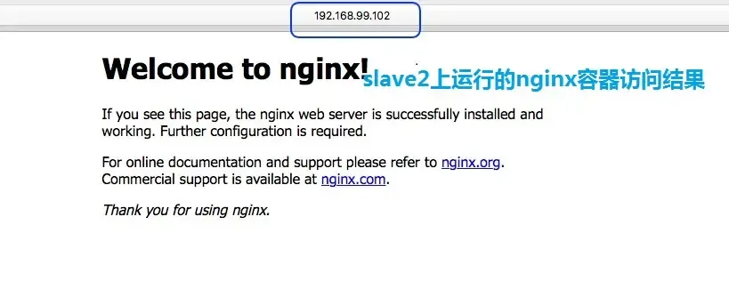 192.168.99.102（slave2）上nginx容器访问结果