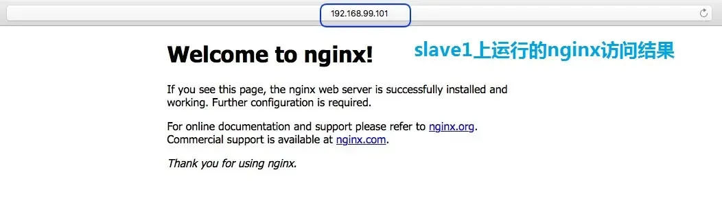 192.168.99.101（slave1）上nginx容器访问结果