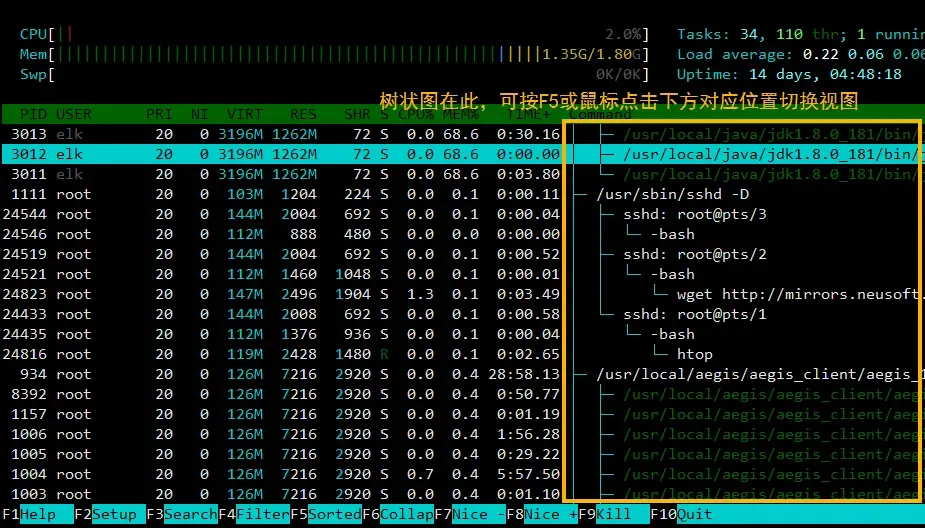 htop 进程树状图