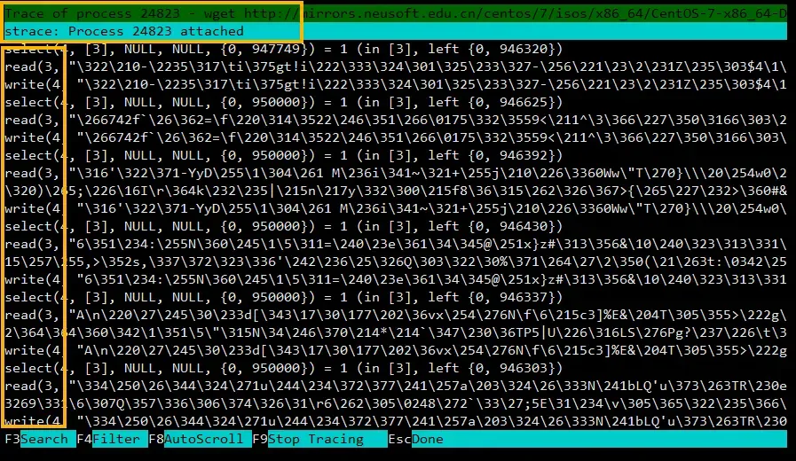 htop 进程跟踪功能