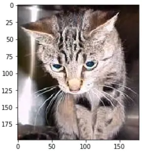 fast.ai 深度学习笔记：第一部分第一课