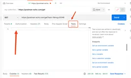 Postman Test 校验入门指南：轻松进行接口测试并验证响应