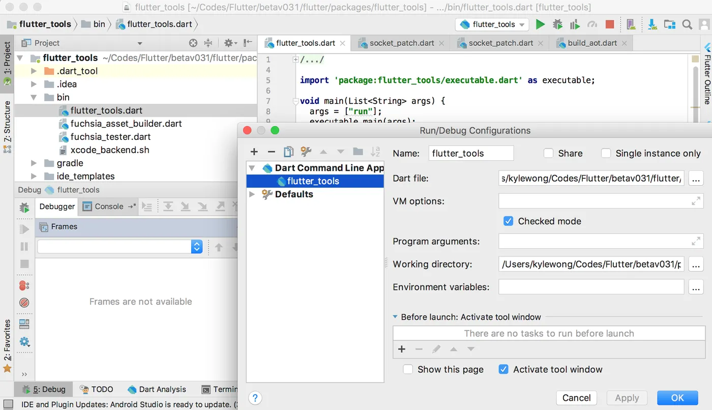 edit flutter_tools dart and debug it with given args