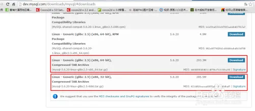 linux系统安装mysql