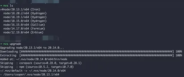 使用 nvs 工具来切换 node 版本