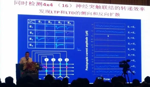 CCAI | 人工智能的将来，是否就埋藏在大脑那些神经元突触间美妙的电信号中？