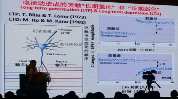 CCAI | 人工智能的将来，是否就埋藏在大脑那些神经元突触间美妙的电信号中？