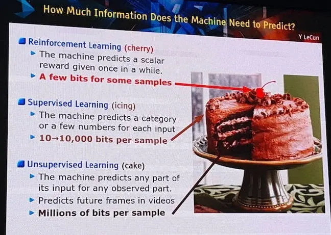 大神 Yann LeCun：我们的使命是终结“填鸭式” AI