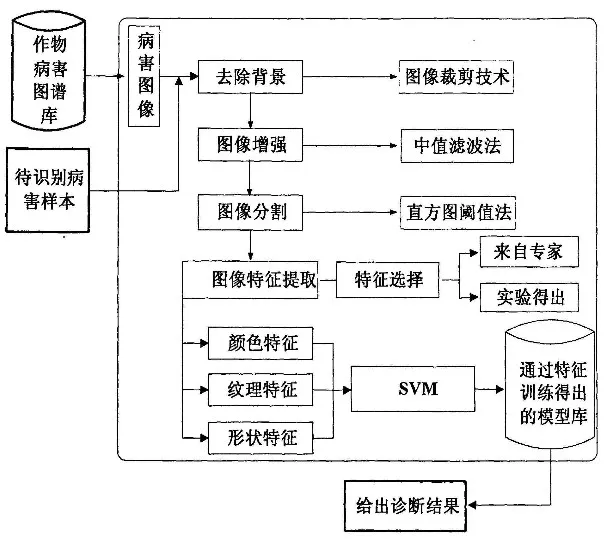 农民别再愁！人工智能帮你诊断作物疾病