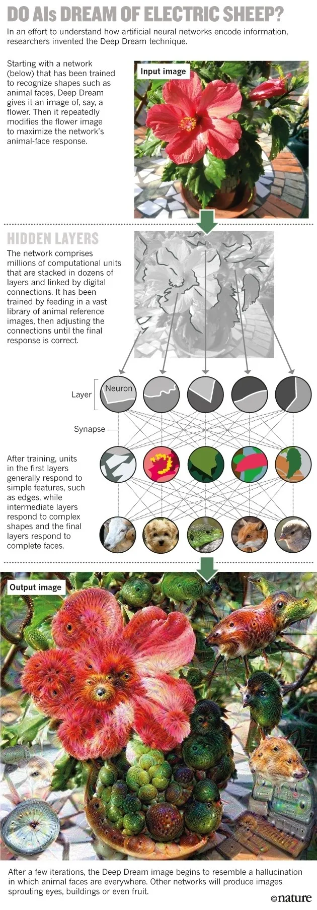 深度 | Nature：我们能打开人工智能的“黑箱”吗？