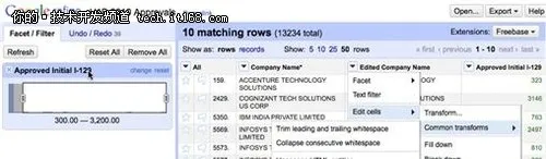 数据清理(Data cleaning)