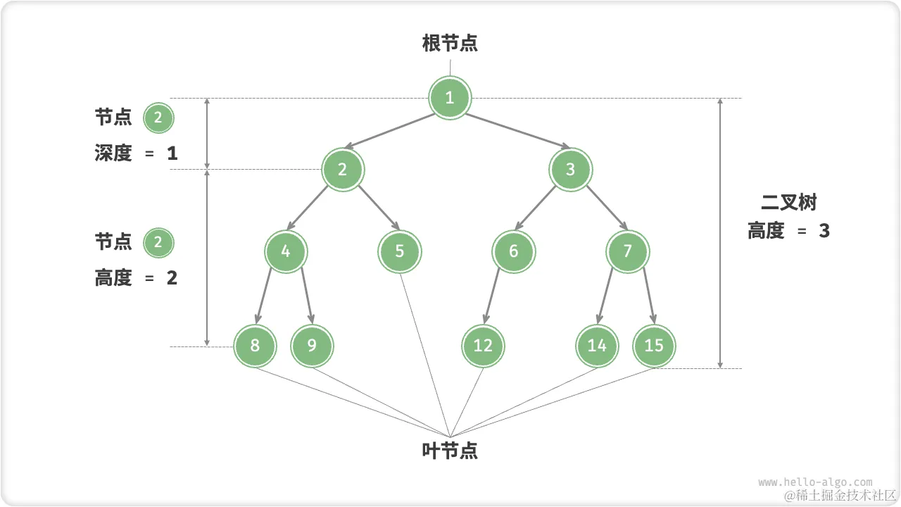 binary_tree_terminology.png