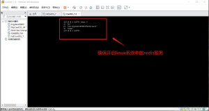 springboot+redis+虚拟机 springboot连接linux虚拟机中的redis服务