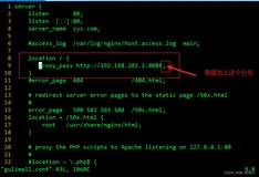 成功解决：nginx: [emerg] unexpected “}“ in /etc/nginx/conf.d/gulimall.conf:10