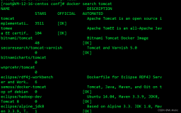 在服务器中使用Docker安装Tomcat、同时实现目录挂载、并且部署War包到服务器