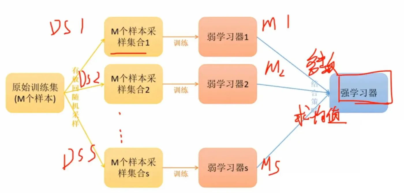 训练过程