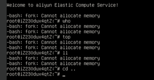 fork Cannot allocate memory 