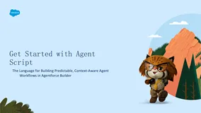 Agent Script 开发指南