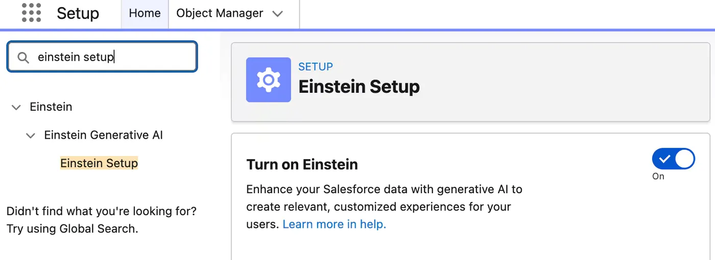 Einstein Setup