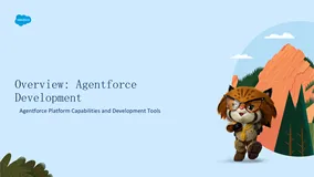 Agentforce 实战示例指南