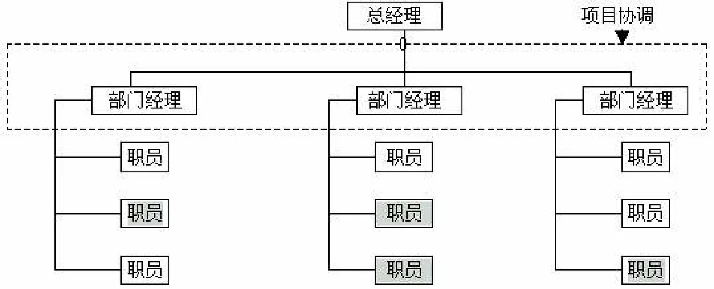 职能型