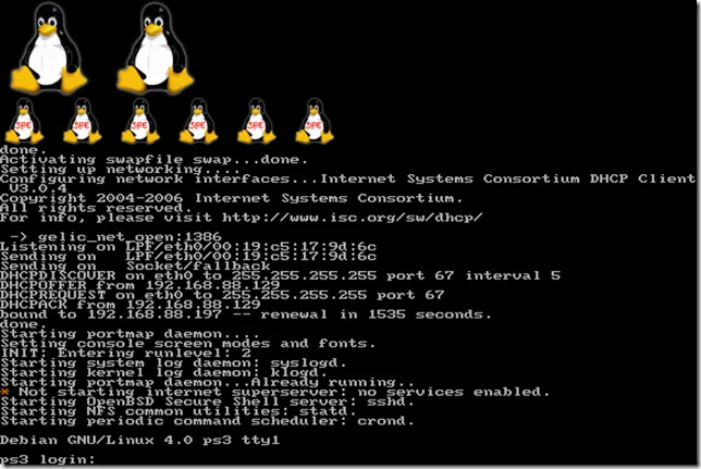 debian-penguin-shot debian-penguin-shot