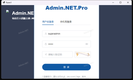 WinForm 直接运行 Admin.NET