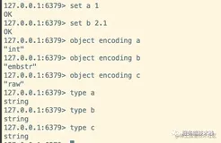 深入理解Redis数据类型String原理