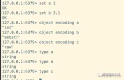 深入理解Redis数据类型String原理