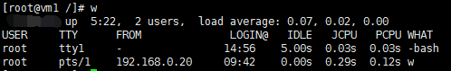 linux查看登录用户及踢掉用户