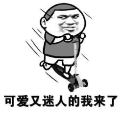 白日梦的Elasticsearch实战笔记,ES账号免费借用、32个查询案例、15个聚合案例、7个查询优化技巧(一)