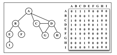 JavaScript 数据结构与算法 之 图