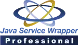 Professional Edition