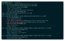 mac_linux如何查询外网ip地址