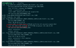 mac_linux如何查询外网ip地址