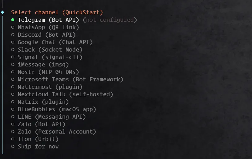 OpenClaw 钉钉教程 - channel 渠道配置选项