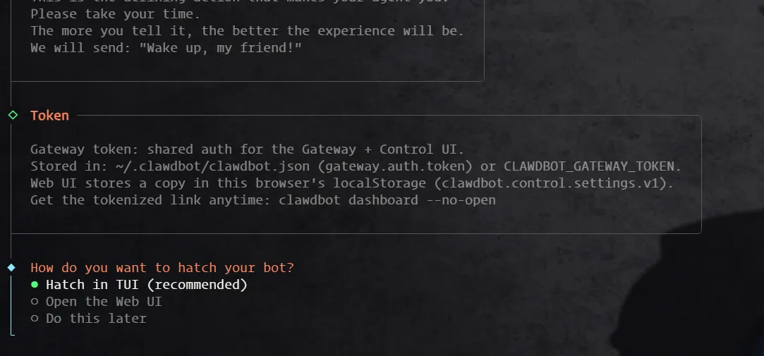 OpenClaw 钉钉教程 - 选择 TUI 终端界面
