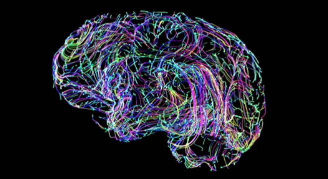 Brain Connections Colorful Stock Footage Video (100% Royalty-free)  1010776790 | Shutterstock