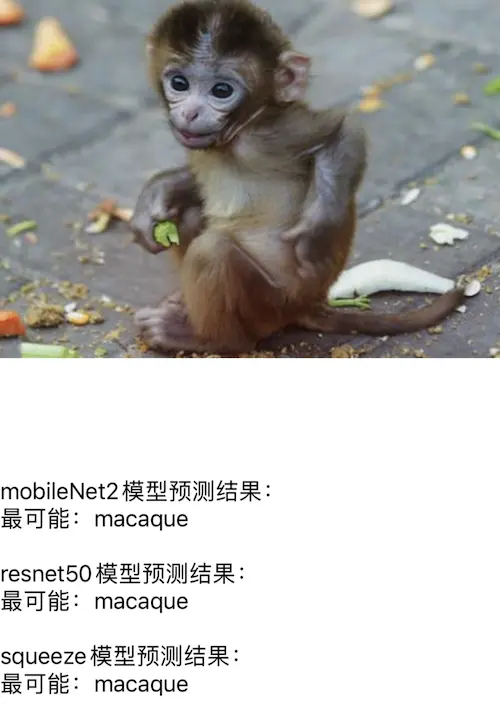 iOS MachineLearning 系列(16)—— 几个常用的图片分类CoreML模型